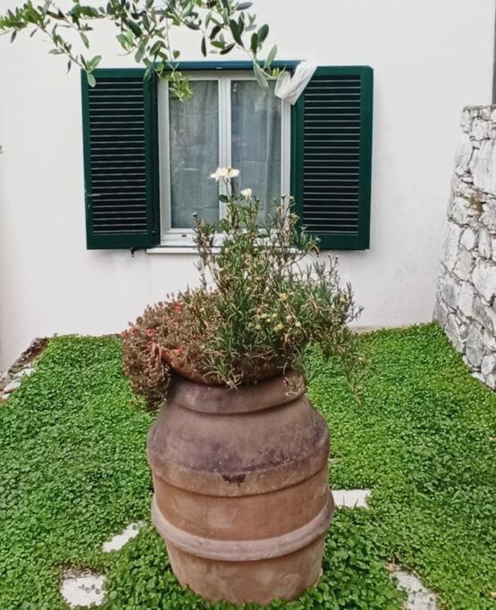 La Piazzetta Di Gra E Baldo Lägenhet Sestri Levante Exteriör bild